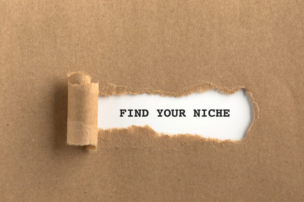 Find your niche - Why Do You Need A Micro Niche Affiliate Marketing Website?
