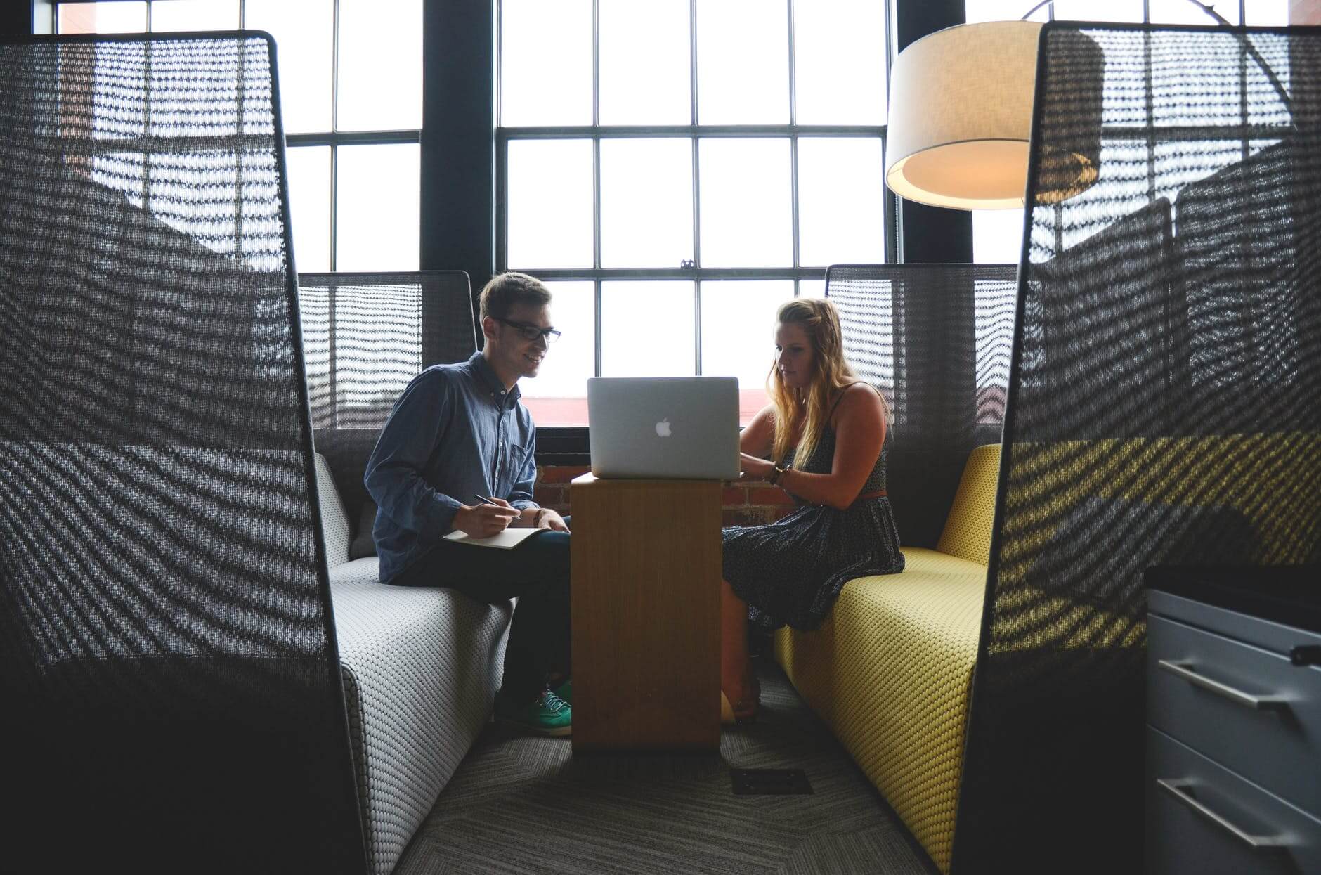 Affiliate Marketing Software for Startups - affiliate marketing software for startups advice advise advisor business