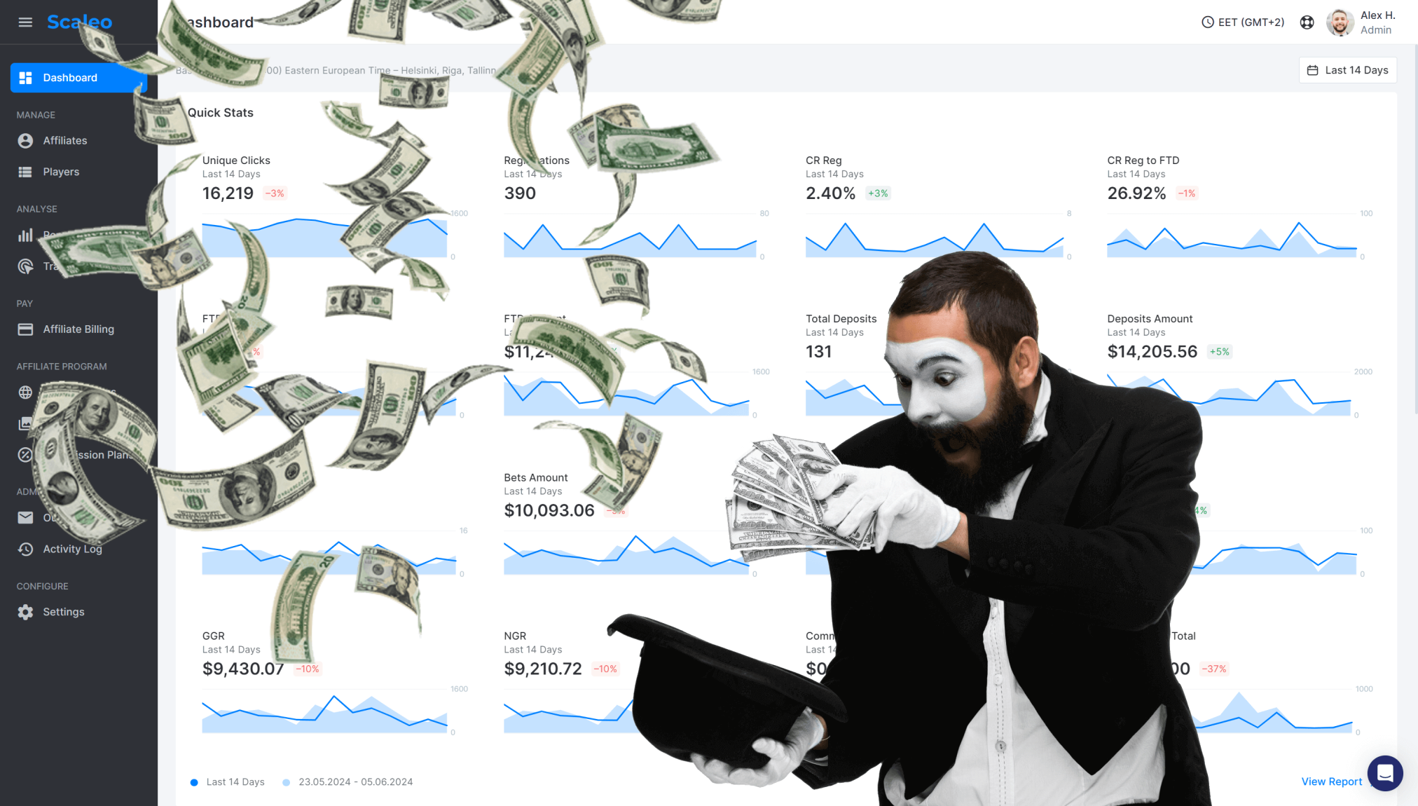 Scaleo magic partner software interaface of a platorm