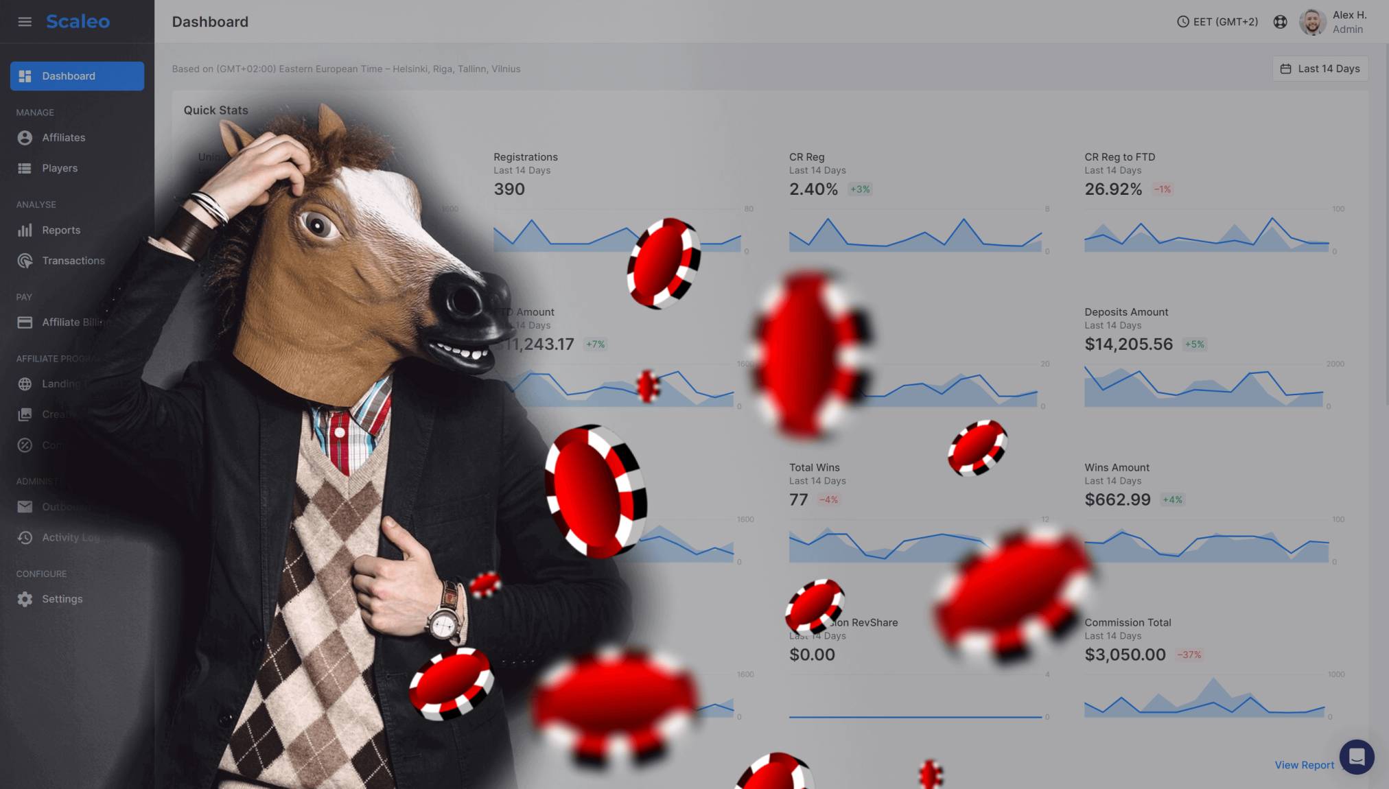 scaleo dashboard horseman