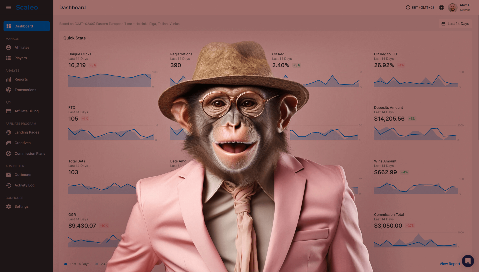 scaleo-dashboard-image of monkey business