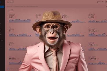 scaleo-dashboard-image of monkey business