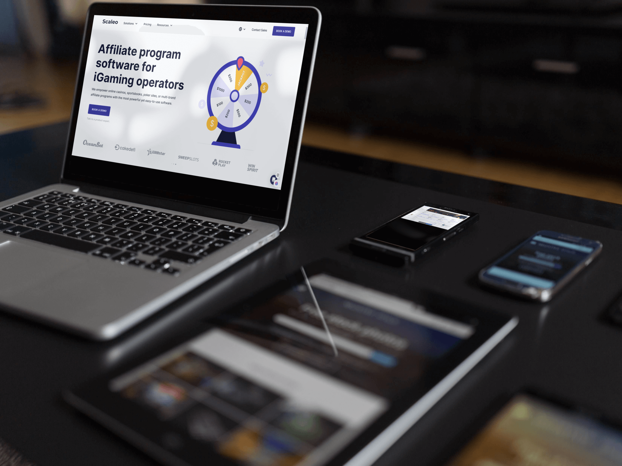 scaleo laptop software 3