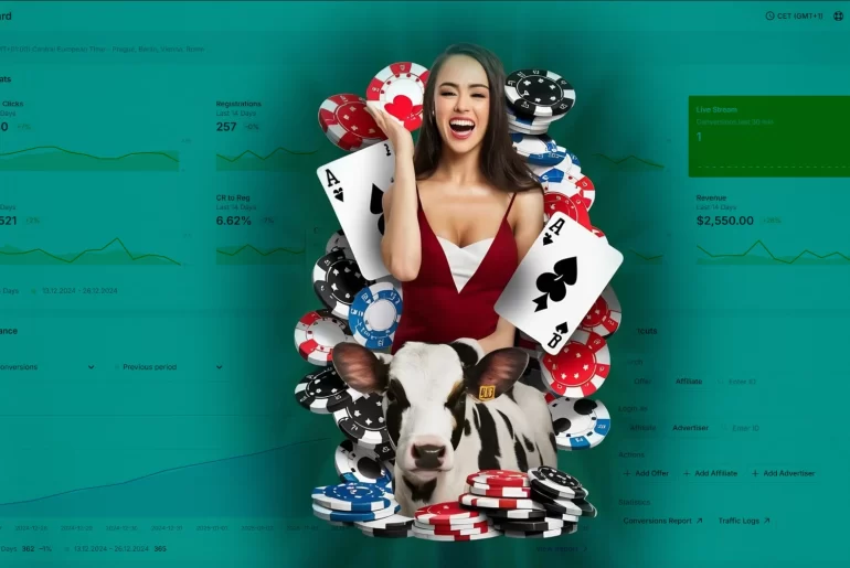 casino-affiliate-software-online-tool-scaleo-ai