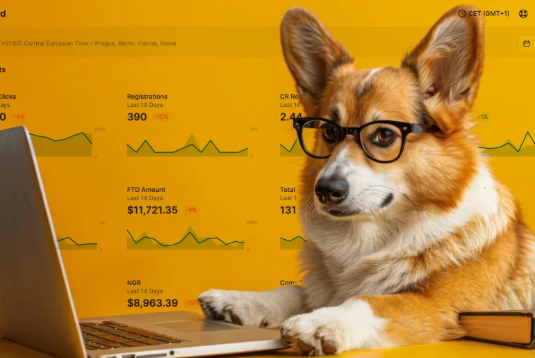 casino affiliate marketing software scaleo