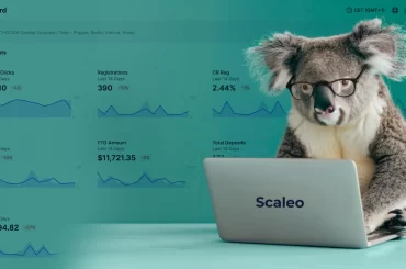 scaleo affiliate marketing software laptop work koala