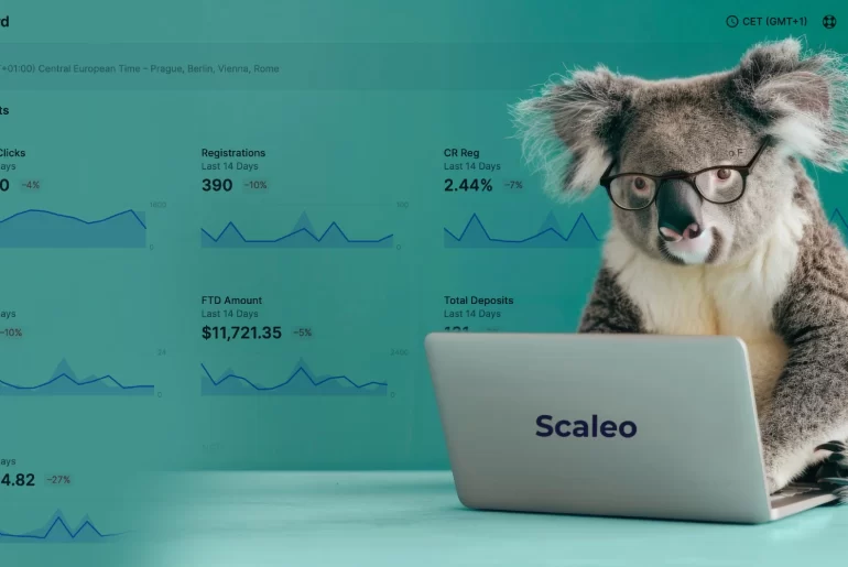 scaleo affiliate marketing software laptop work koala